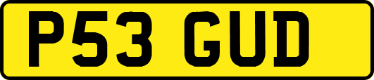 P53GUD