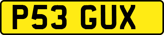 P53GUX