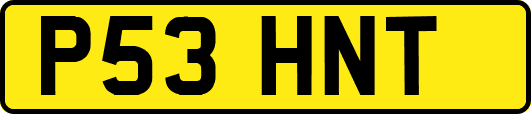 P53HNT
