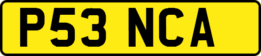 P53NCA