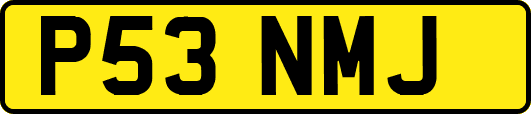 P53NMJ