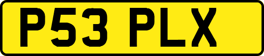 P53PLX