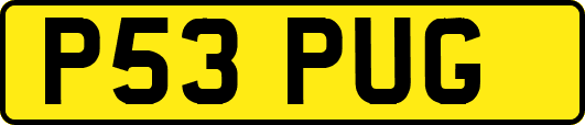 P53PUG
