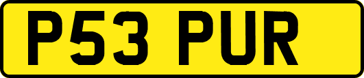 P53PUR