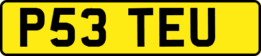 P53TEU