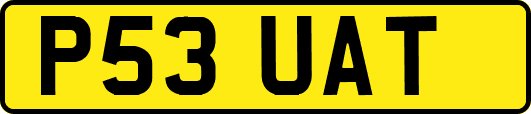 P53UAT