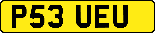 P53UEU
