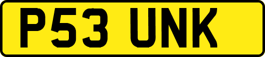P53UNK
