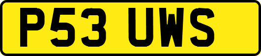 P53UWS