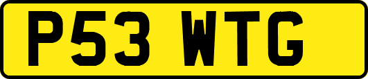 P53WTG