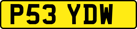P53YDW