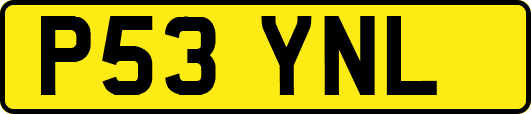P53YNL