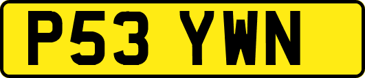 P53YWN