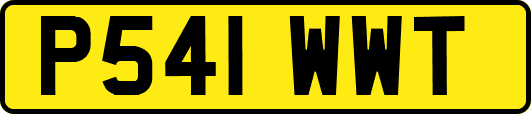 P541WWT