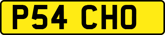 P54CHO