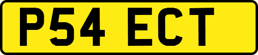 P54ECT