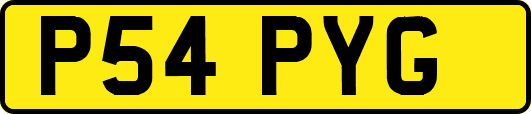 P54PYG