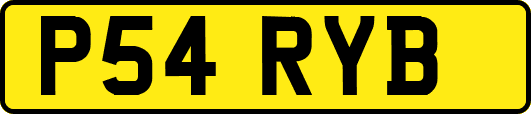 P54RYB