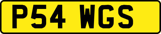 P54WGS