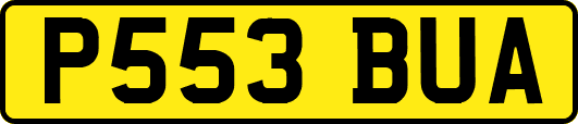 P553BUA
