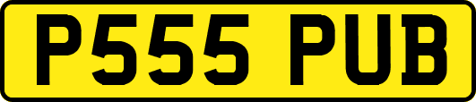 P555PUB