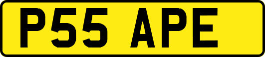 P55APE