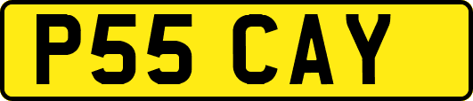 P55CAY