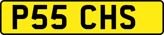 P55CHS