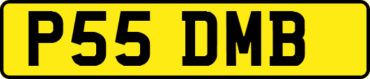 P55DMB