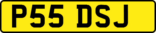 P55DSJ