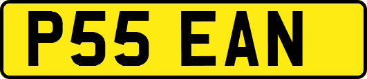 P55EAN
