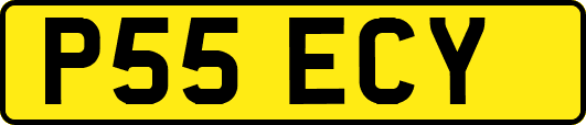 P55ECY