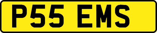 P55EMS