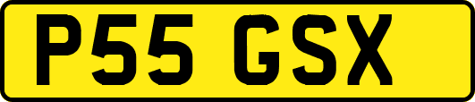 P55GSX