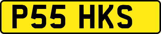 P55HKS