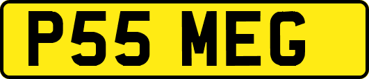 P55MEG