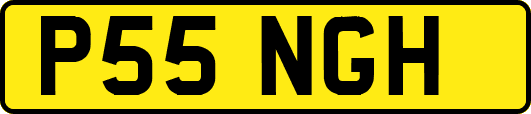 P55NGH