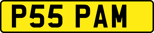 P55PAM