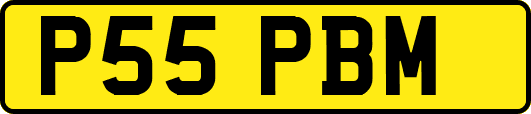 P55PBM