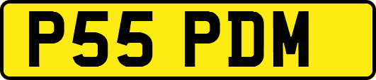 P55PDM