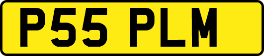 P55PLM