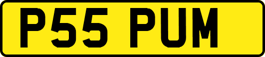 P55PUM