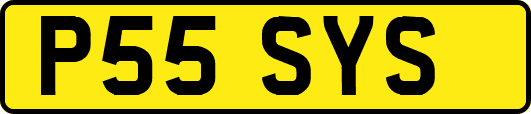 P55SYS