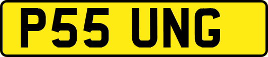 P55UNG