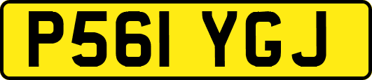 P561YGJ