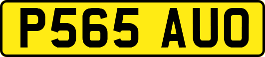 P565AUO