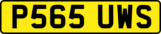 P565UWS