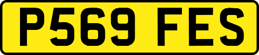 P569FES