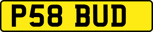 P58BUD