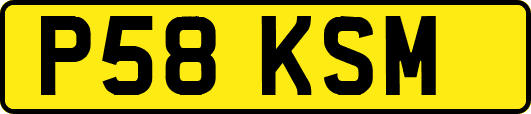 P58KSM